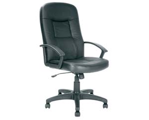 Unbranded Value high back leather faced