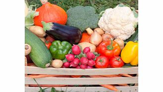 Unbranded Veg Box Plants - Lucky Dip Collection