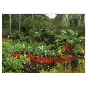 Unbranded Vegetable Box