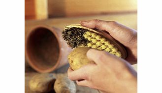 Unbranded Vegetable Brush