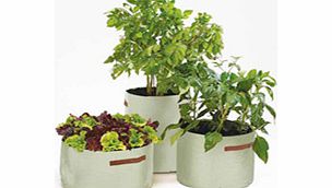 Unbranded Vegetable Patio Planters