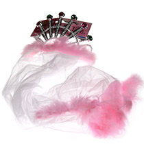 Anyone can spot the bride-to-be when she wears this magical tiara and veil - a traditional twist on 