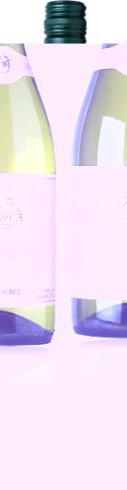 Unbranded Verdicchio dei Castelli di Jesi 2007 Coste del Molino (75cl)