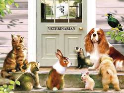 Let`s hear a big round of ``awww.....`` Measures 19`` x 27``