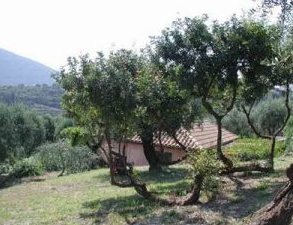 Vietnam holidays, tailor made