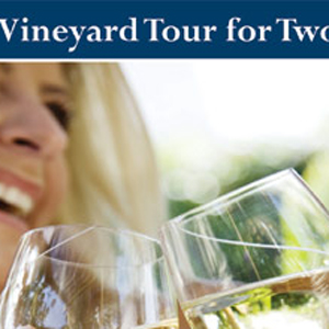 Unbranded Vineyard Tour and Tasting Experience For Two