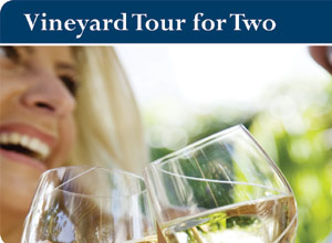 Unbranded vineyard tour and tasting (for two)