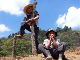 Unbranded Volunteer and learn Spanish in Guatemala