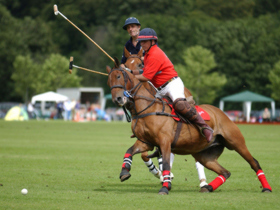 Unbranded Volunteer at a Polo school in Argentina