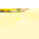 1/43 scale model from Minichamps