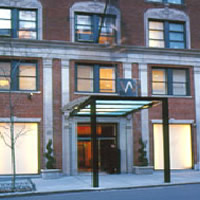 Unbranded W The Court