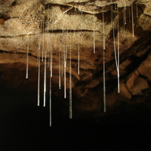 Explore this amazing underground world on a fully guided tour of the Waitomo Caves, including a visi