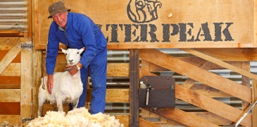 Unbranded Walter Peak High Country Farm Excursion