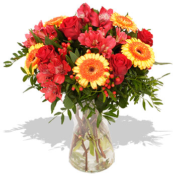 Unbranded Warm Wishes - flowers