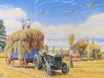 Cardboard jigsaw puzzle