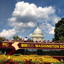 Unbranded Washingon DC 48 hour All Loops Hop-on/Hop-off