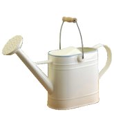 Unbranded Watering Can