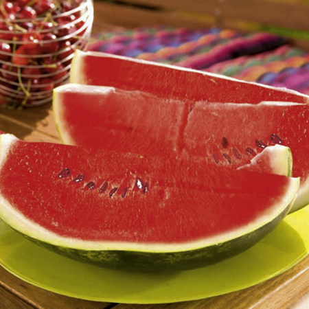 Unbranded Watermelon Grafted Ingrid Plants Pack of 3 Pot