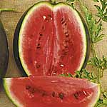 Unbranded Watermelon Rosario F1 Seeds 439582.htm