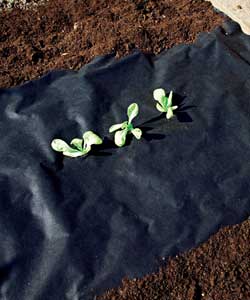 Unbranded Weed Control Fabric 12 metres