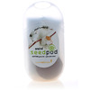 Unbranded Weird Seed Pod -- Cotton