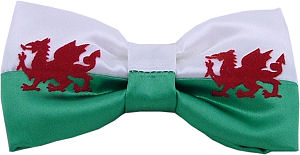 Unbranded Welsh Dragon Bow Tie