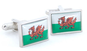 Unbranded Welsh Dragon Cufflinks