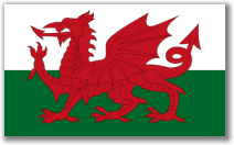 Large Red Dragon Flag, the National Flag of Wales. Fly it on St David`s Day, March 1st