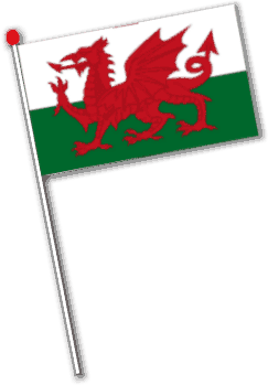 Patriotic hand waving flag Welsh hand flags with red dragon