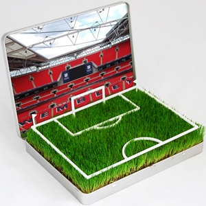 Unbranded Wembley Stadium Mini Pitches - Grow Your Own