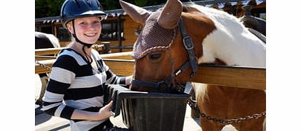 Western Working Day Experience