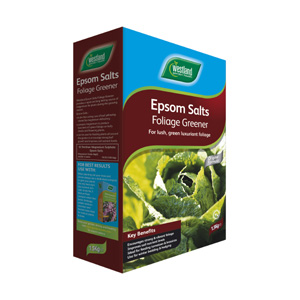 Unbranded Westland Epsom Salts Foliage Greener - 1.5kg