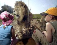 Whipsnade Wild Animal Park Student Ticket