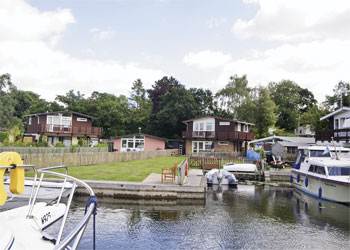 Unbranded Whispering Reeds