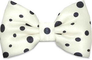 A pre-tied white bow tie with black polka dots all over with on a satin finish.