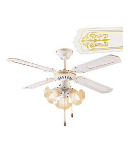 Ceiling Fan With Light