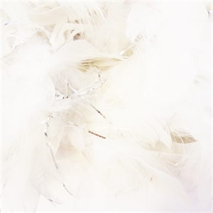 Unbranded White Feather Boa