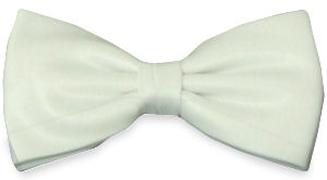 Unbranded White Knot Bow Tie