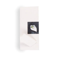 Unbranded White Lily - Place Card
