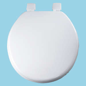 Unbranded White Moulded Toilet Seat