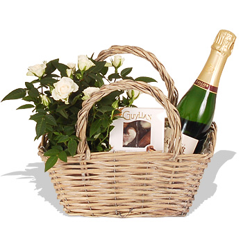 Unbranded white Rose Plant and Champagne Gift Set - flowers