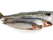 Unbranded Whole Cornish sardines, frozen, 1Kg