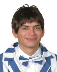 Unbranded Wig: Mens Style Short Brown