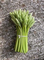 Unbranded Wild asparagus, bunch