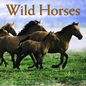 Wild Horses 2006 calendar