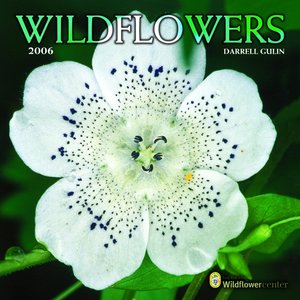 Wildflowers Calendar