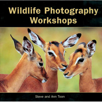 Unbranded Wildlife Photography Workshops