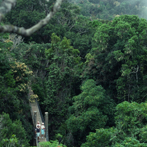 Window to the Wilderness - Adult