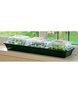Unbranded Windowsill Grow Kit