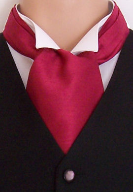 Unbranded Wine Red Self-Tie Cravat